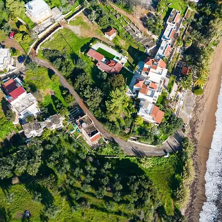 Pavlina's * チラニ