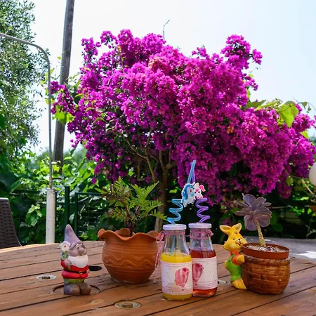 Appartamento Pavlina's Chrani